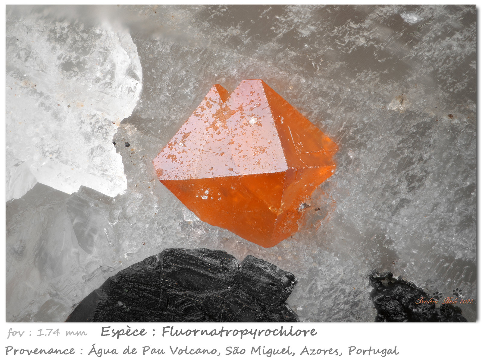 Fluornatropyrochlore
fov 1.74 mm
(Autor: ploum)