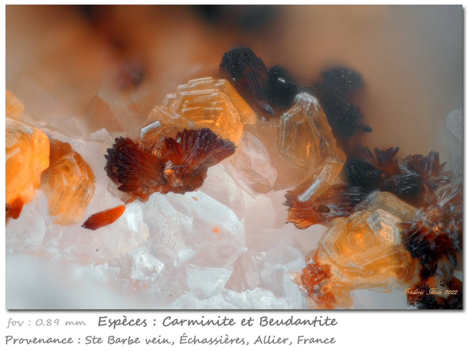 Carminite and Beudantite
fov 0.89 mm
(Autor: ploum)