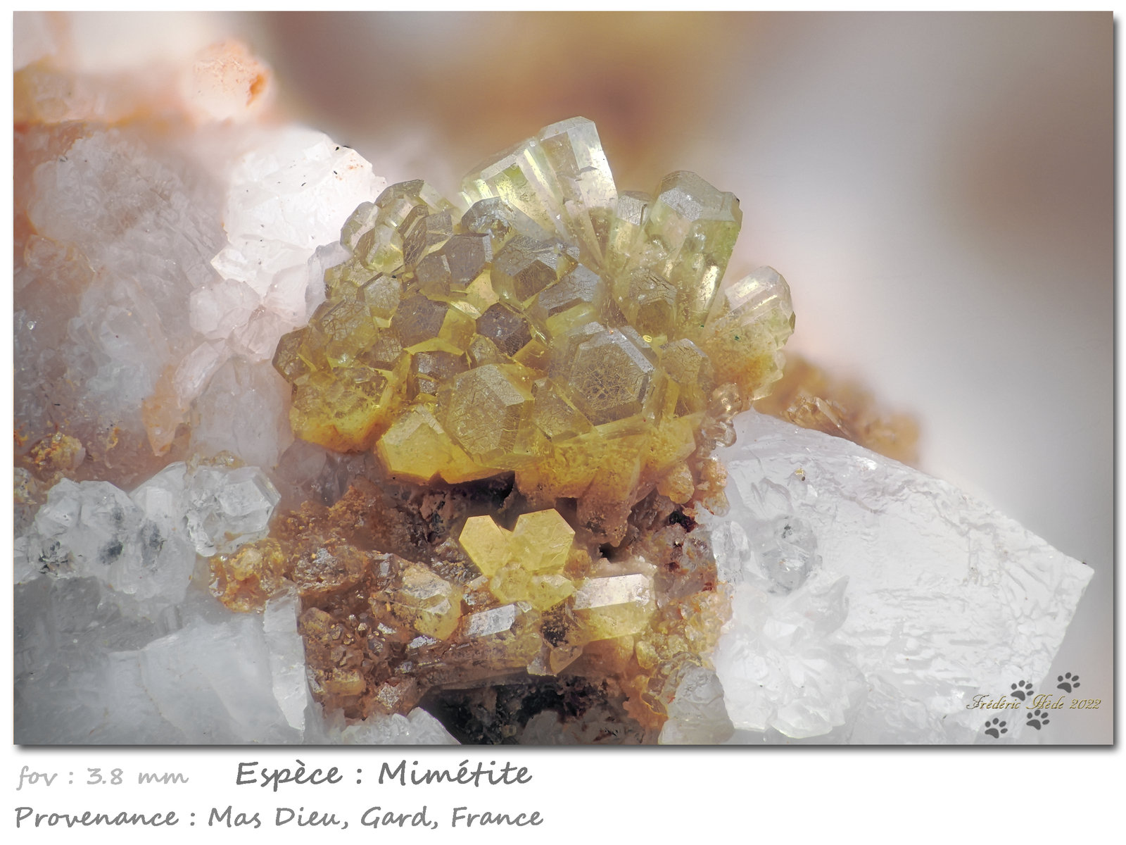 Mimetite
fov 3.8 mm
(Autor: ploum)