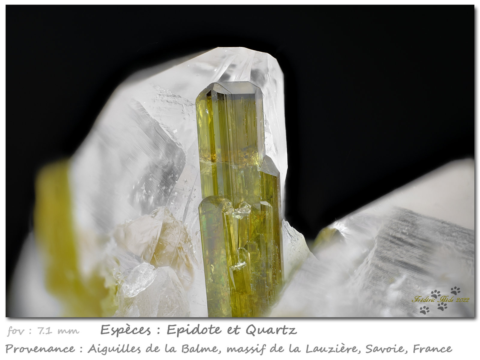 Epidote
fov 7.1 mm
(Autor: ploum)