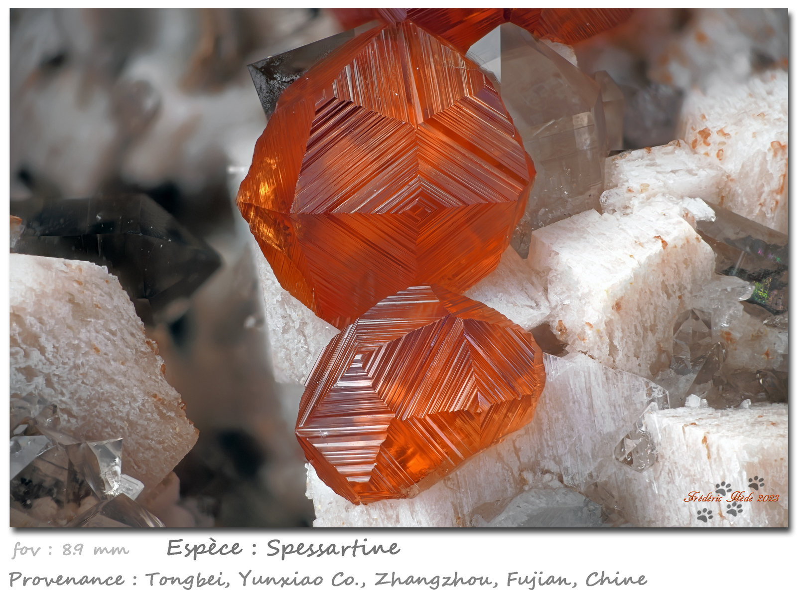 Spessartine with Feldspar and Quartz
fov 8.9 mm
(Autor: ploum)