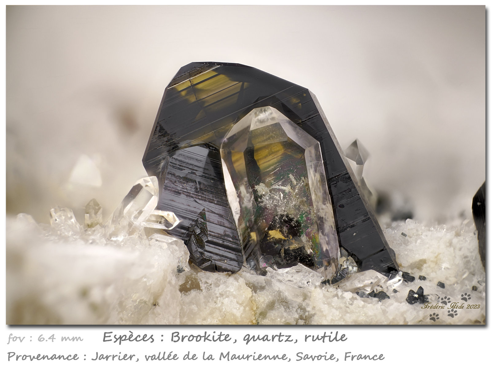 Brookite with Quartz and Rutile
fov 6.4 mm
(Autor: ploum)