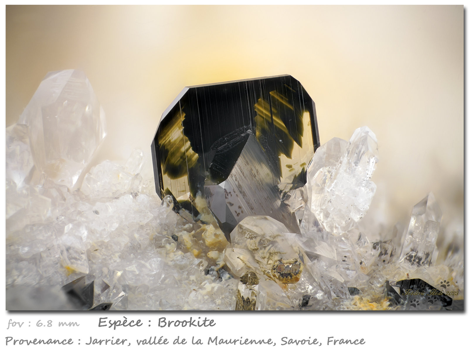Brookite
fov 6.8 mm
(Autor: ploum)