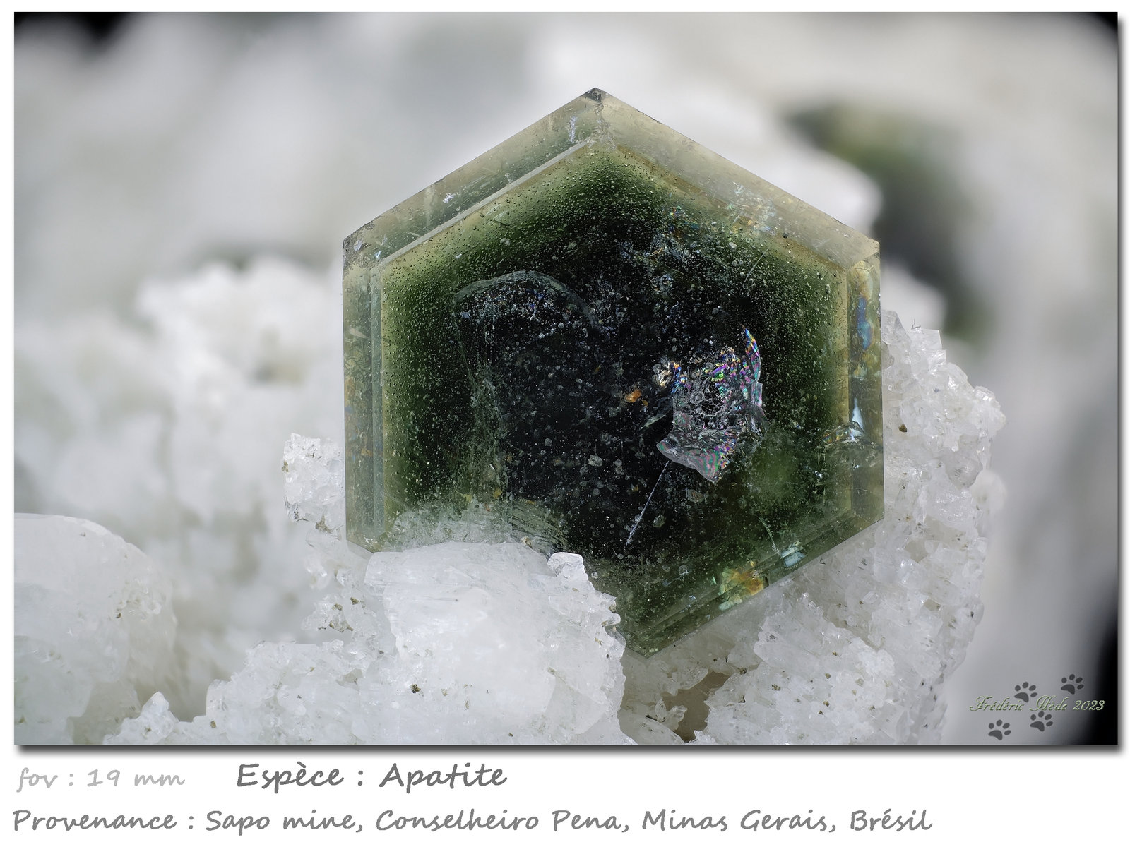 Apatite
19 mm
(Autor: ploum)