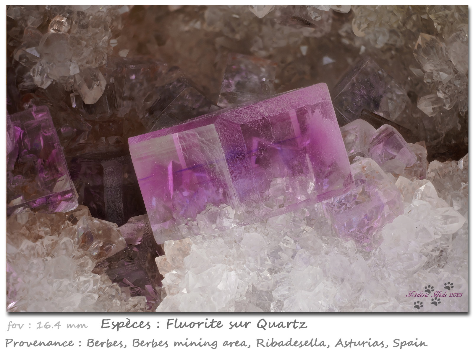Fluorite
fov 16 mm
(Autor: ploum)