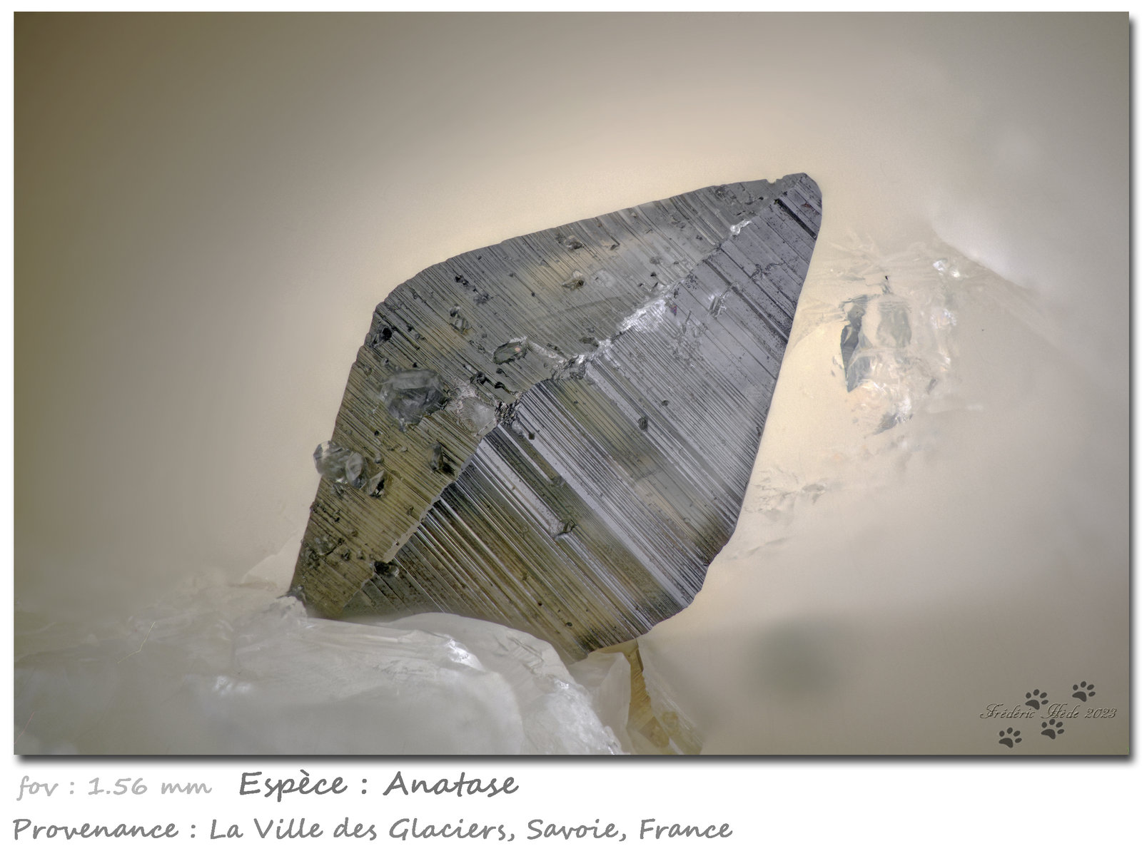 Anatase
fov 1.56 mm
(Autor: ploum)