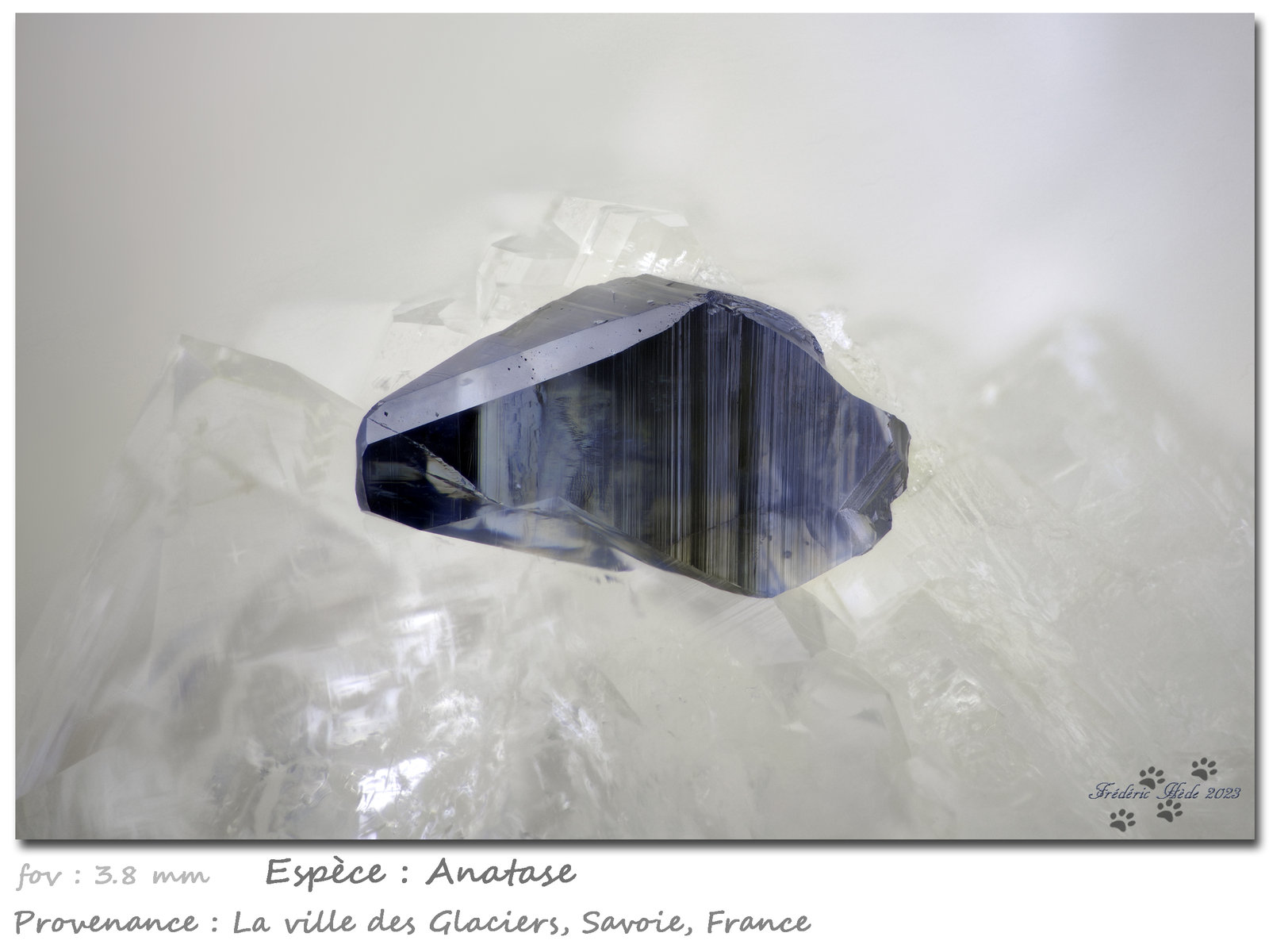 Anatase on Quartz
fov 3.8 mm
(Autor: ploum)