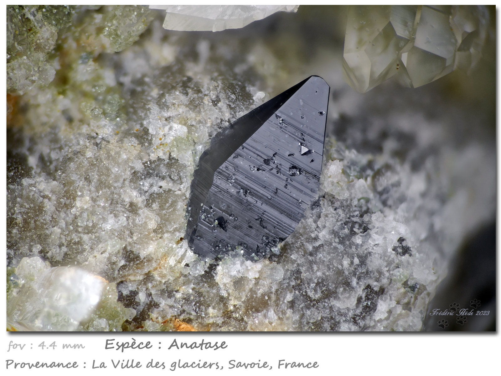 Anatase
fov 4.4 mm
(Autor: ploum)