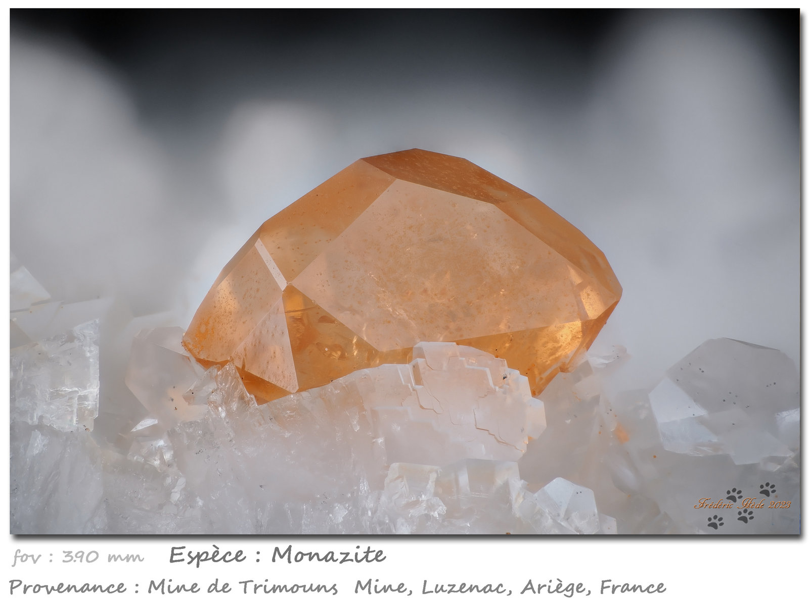 Monazite-(Ce)
fov 3.90 mm
(Autor: ploum)