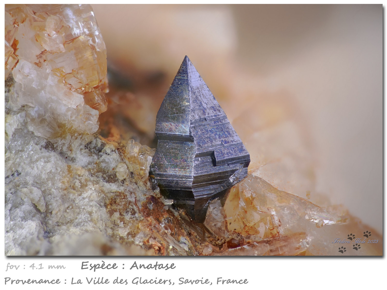 Anatase
fov 4.1 mm
(Autor: ploum)