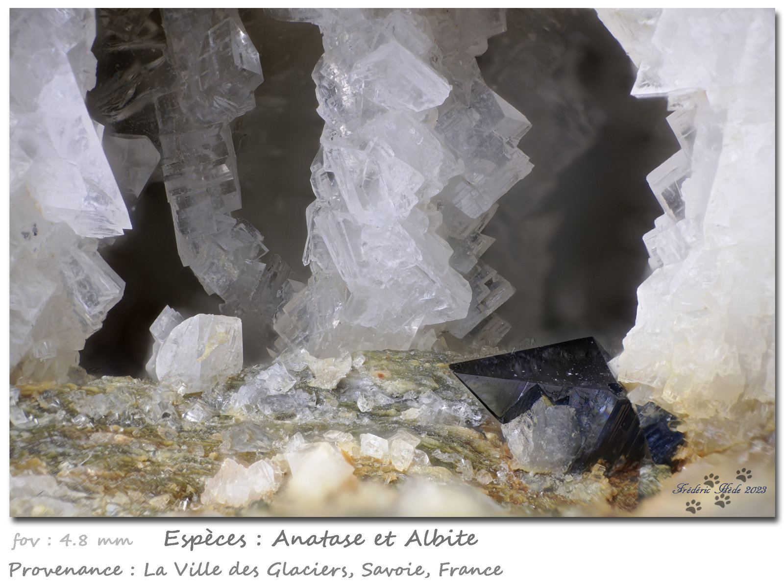 Anatase and Albite
fov 4.8 mm
(Autor: ploum)