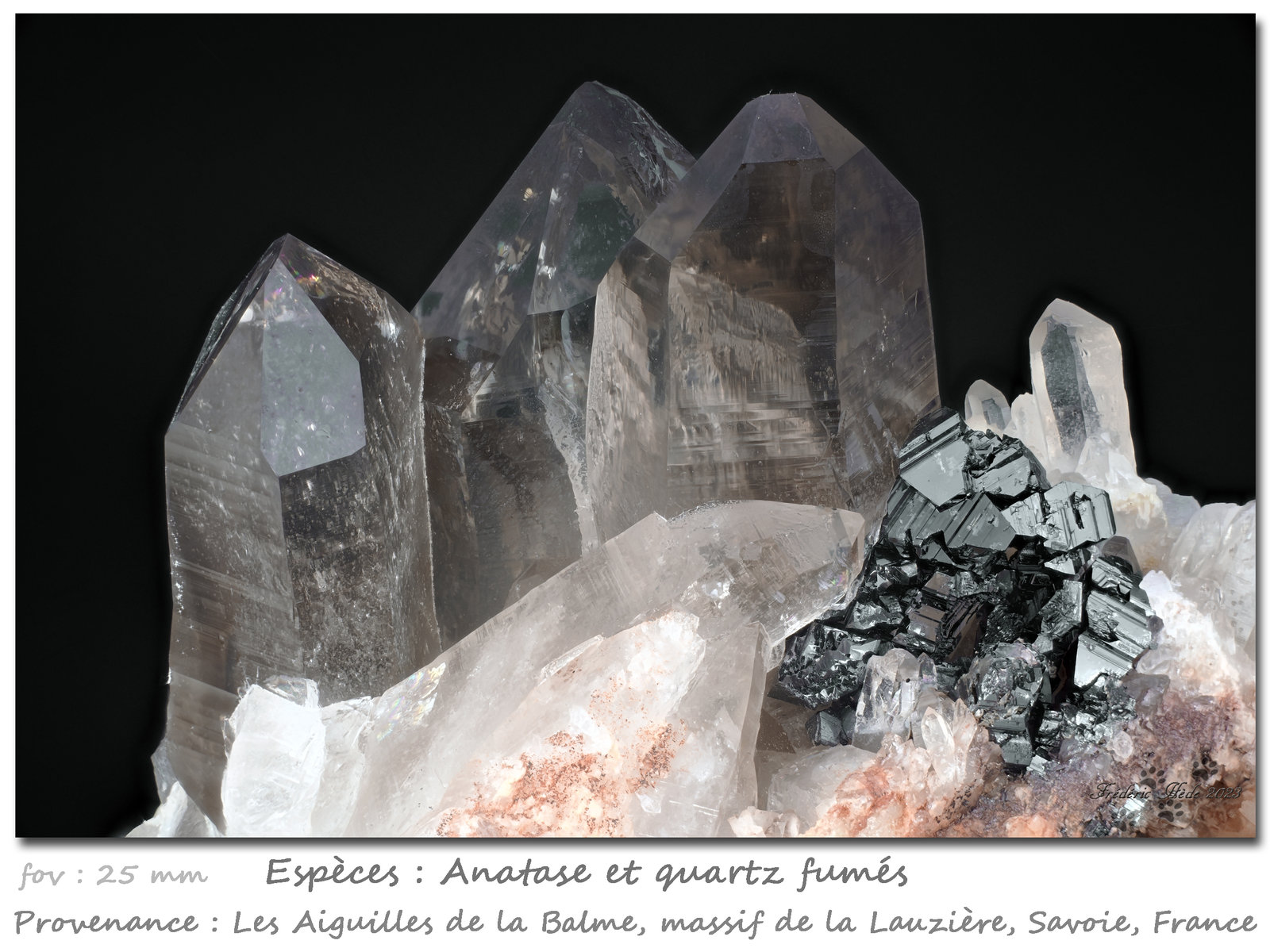 Anatase and Quartz (variety smoky)
fov 25 mm
(Autor: ploum)