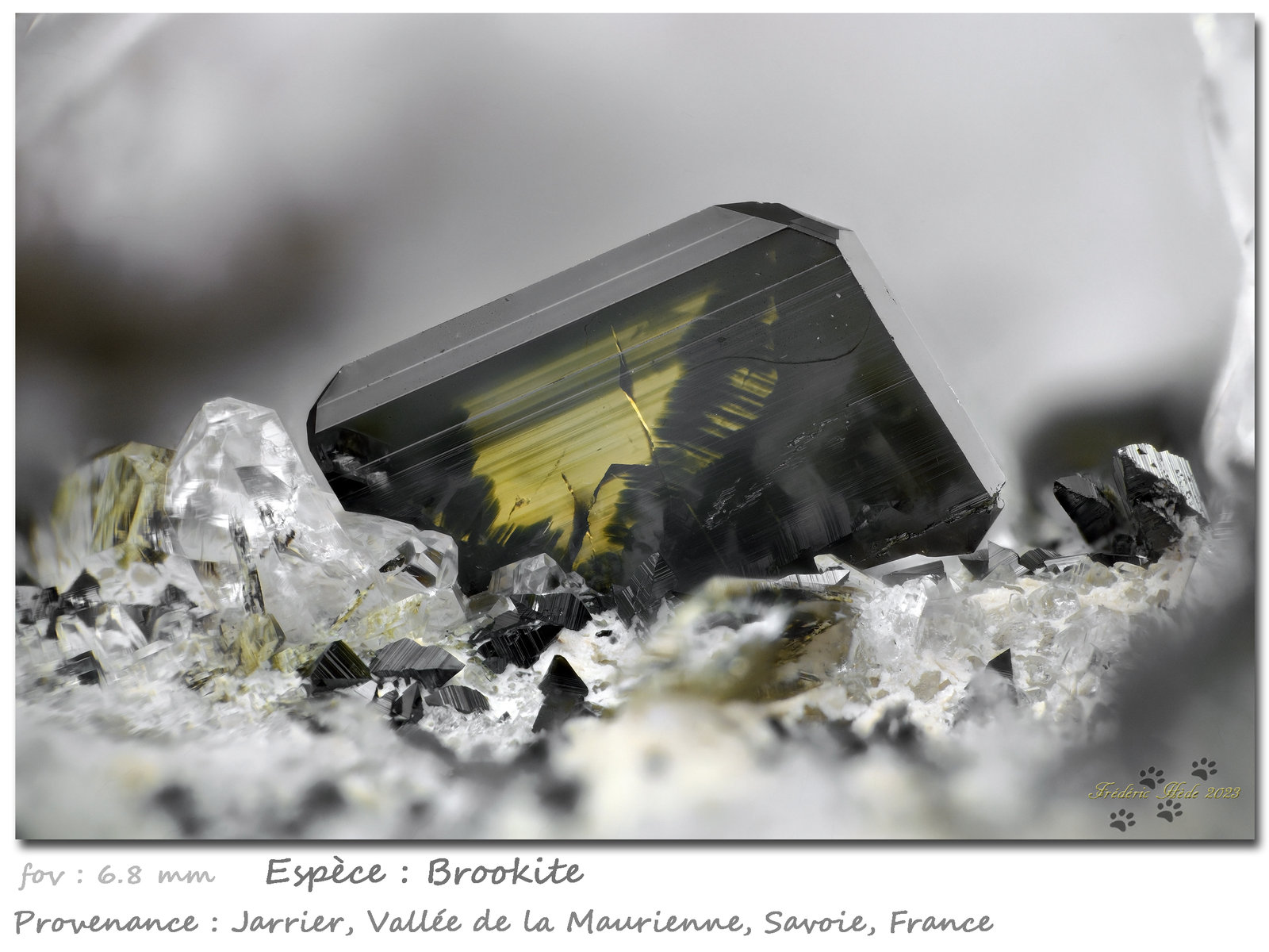 Brookite, Anatase, Rutile
Fov 6.4 mm
(Autor: ploum)