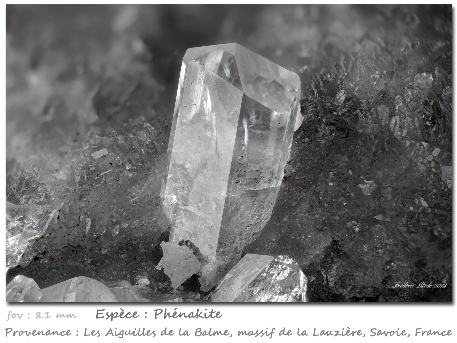 Phenakite
fov 8.1 mm
(Autor: ploum)
