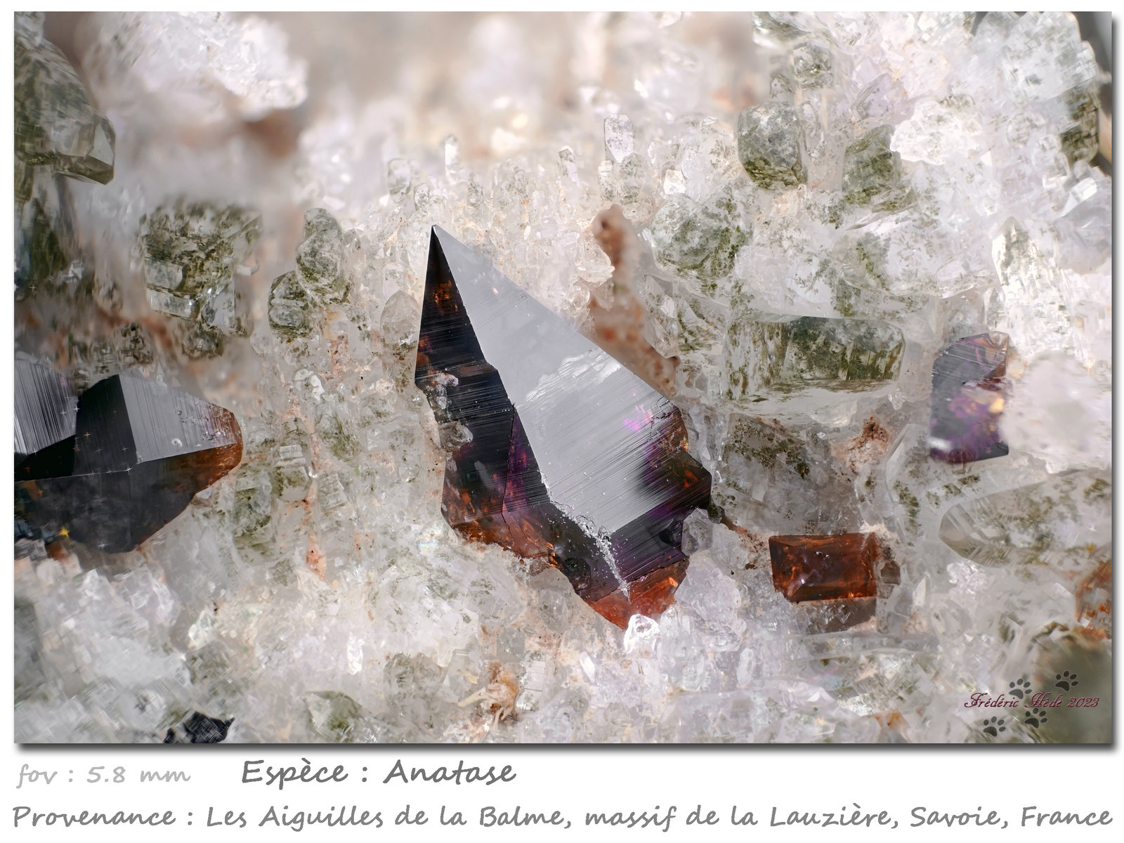 Anatase
Fov 5.8 mm
(Autor: ploum)