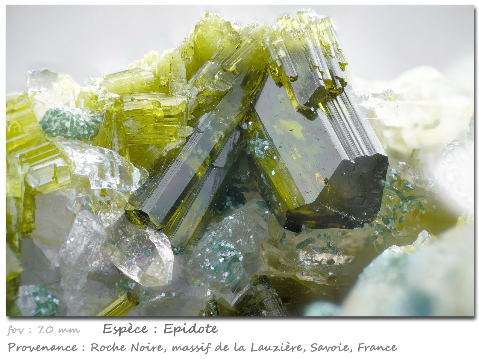 Epidote
fov 7.0 mm
(Autor: ploum)