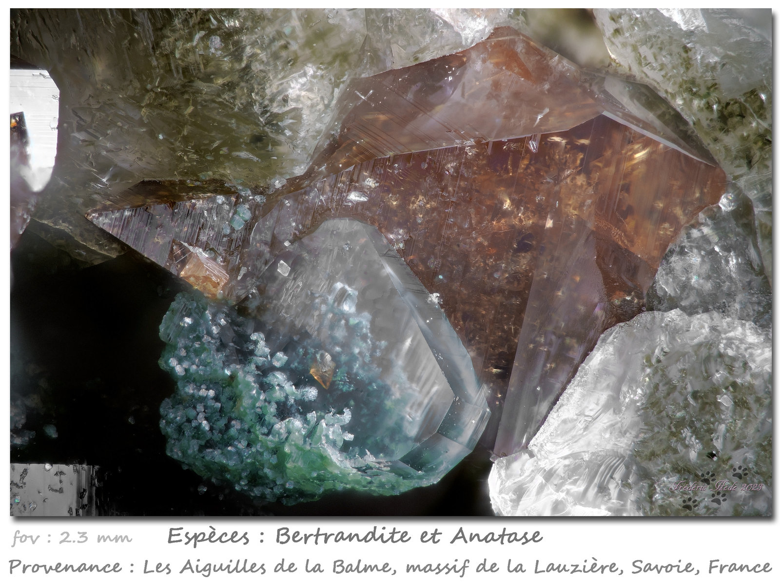 Bertrandite and Anatase
fov 2.3 mm
(Autor: ploum)