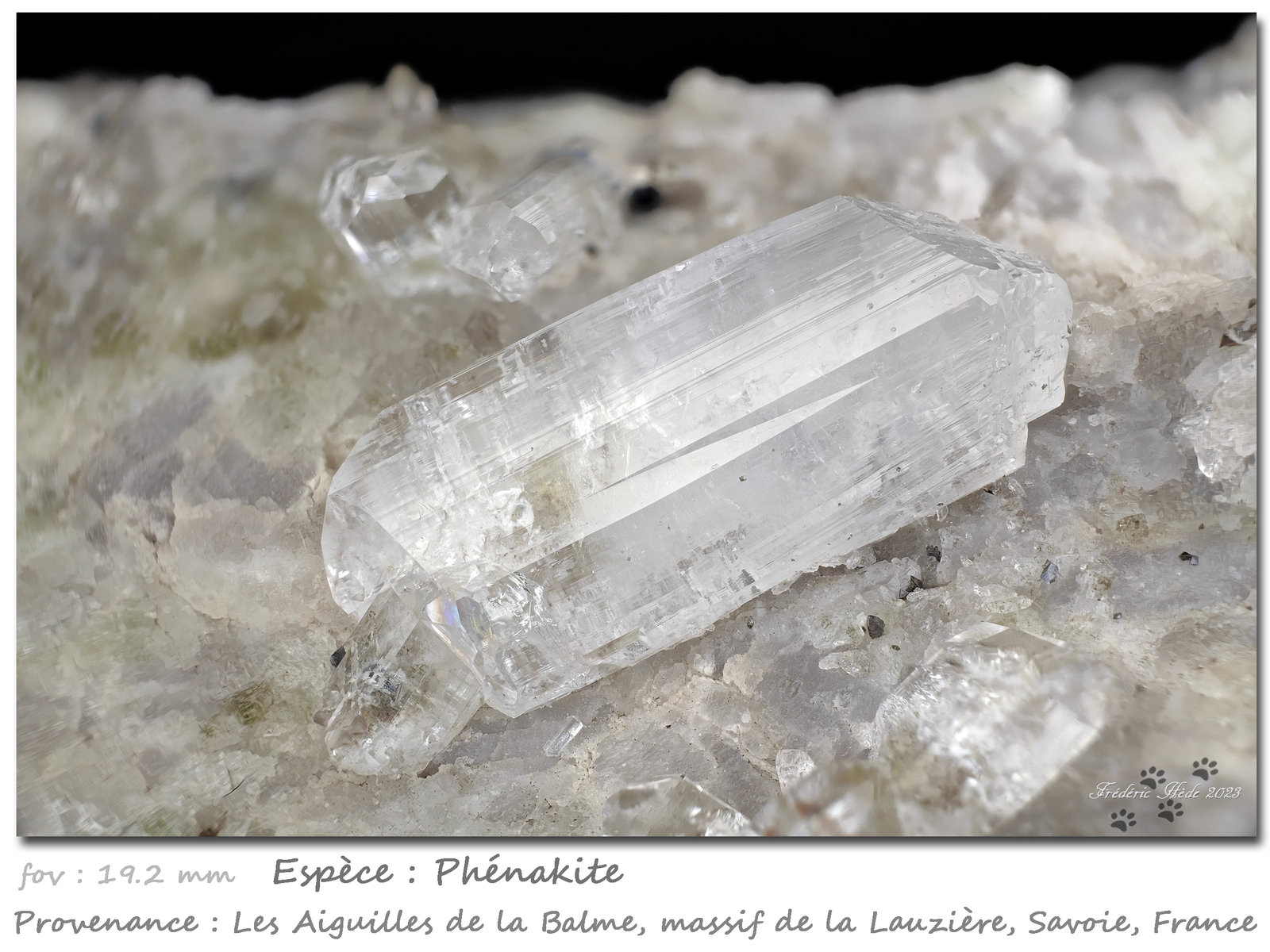 Phenakite
Fov 19.2 mm
(Autor: ploum)