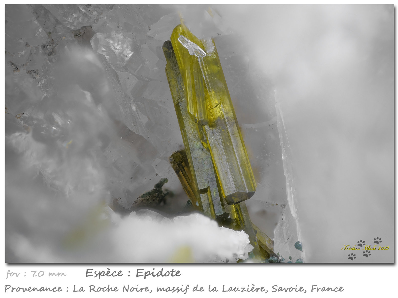 Epidote
fov 7.0 mm
(Autor: ploum)