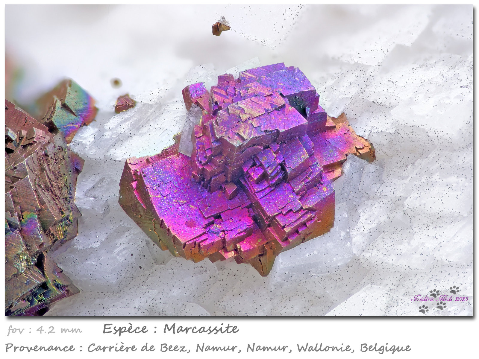 Marcasite
fov 4.2 mm
(Autor: ploum)