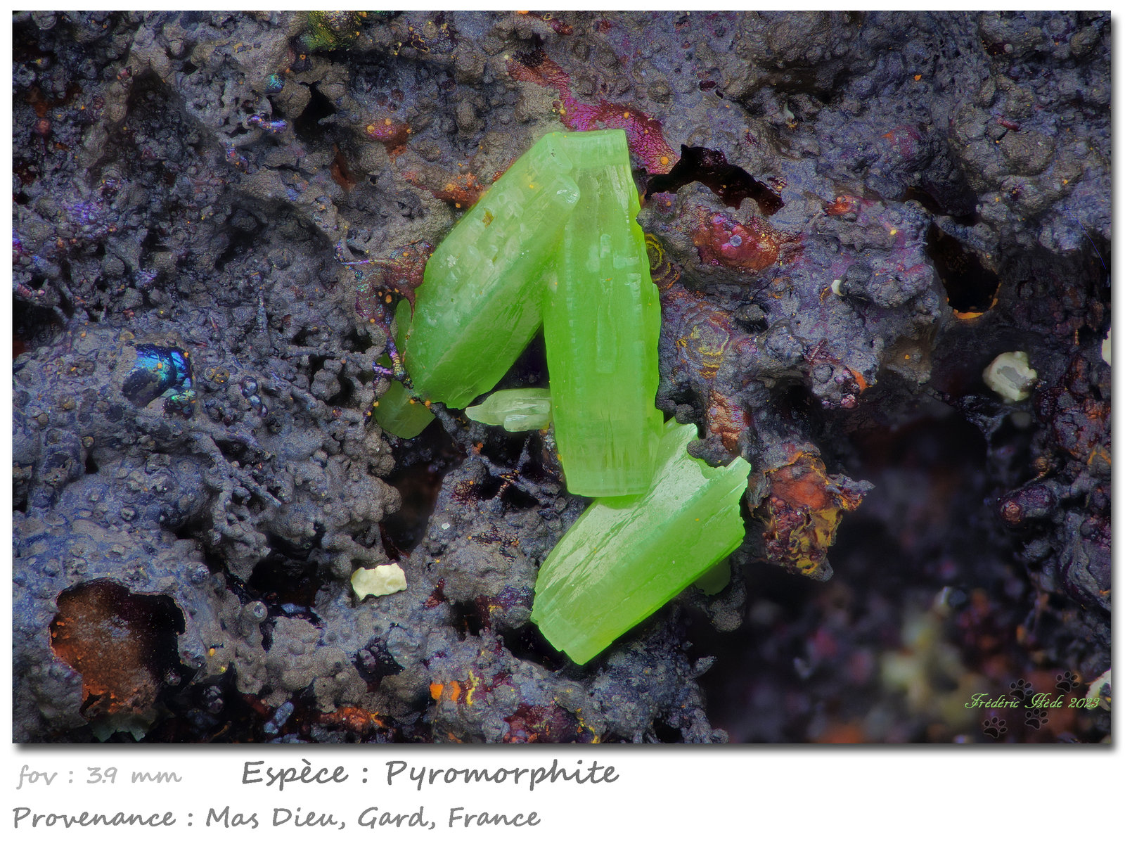 Pyromorphite
fov 3.9 mm
(Autor: ploum)