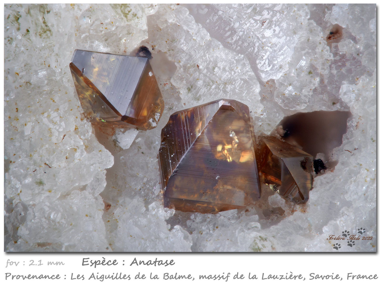 Anatase
fov 2.1 mm
(Autor: ploum)