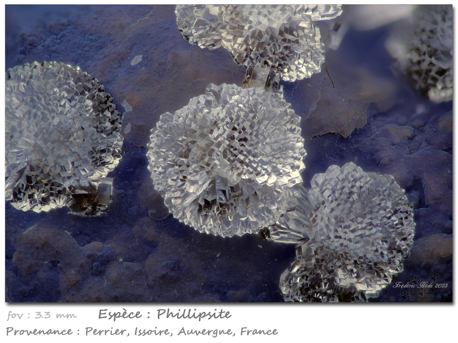 Phillipsite
fov 3.3 mm
(Autor: ploum)