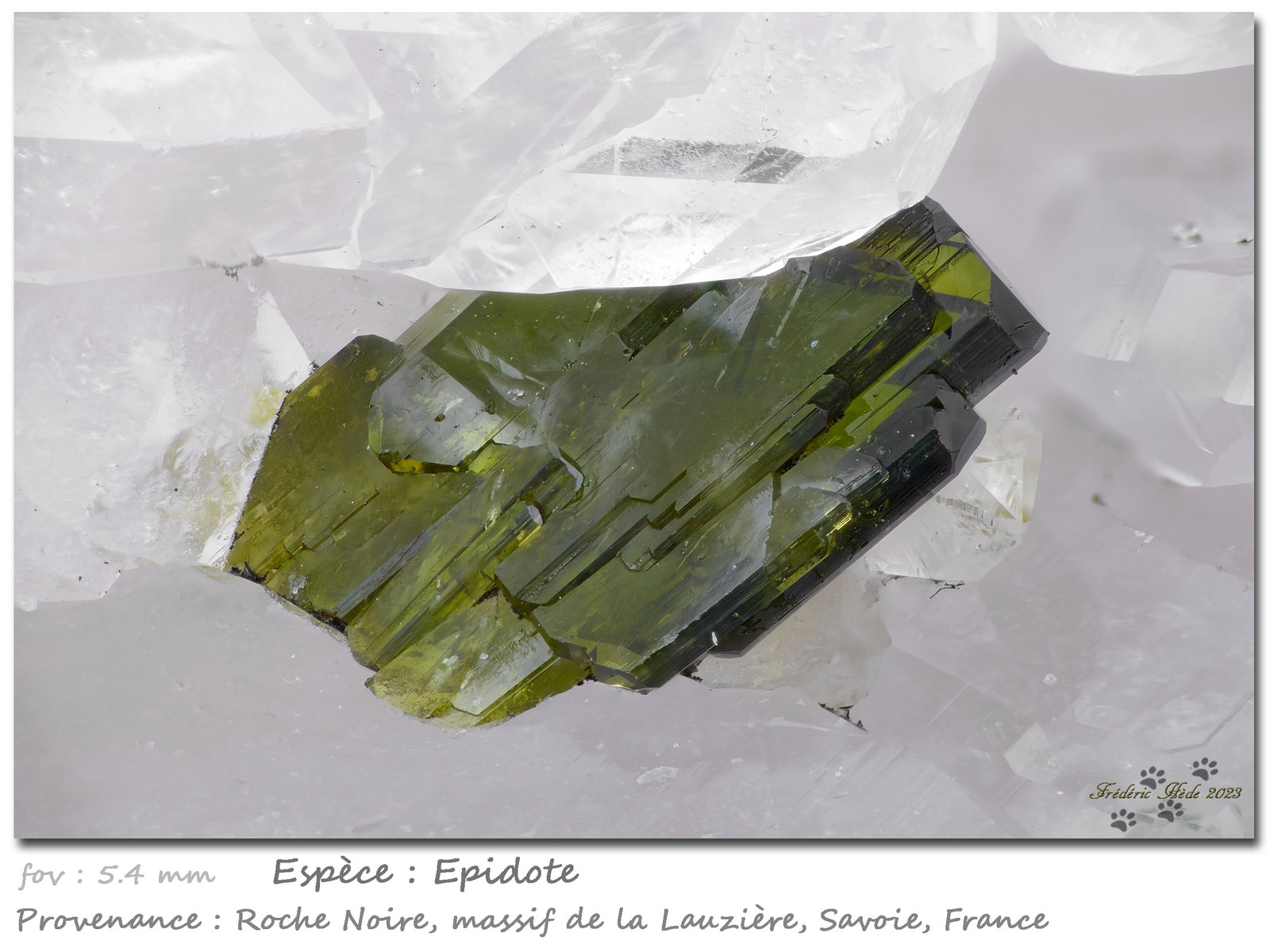 Epidote
fov 5.4 mm
(Autor: ploum)