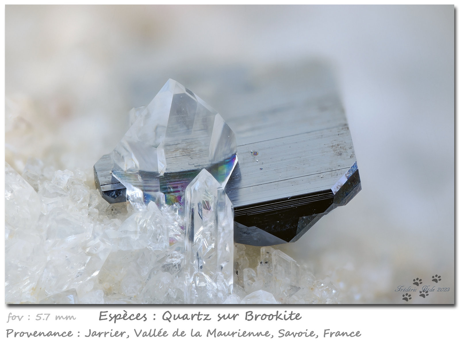 Quartz on Brookite
Fov 5.7 mm
(Autor: ploum)