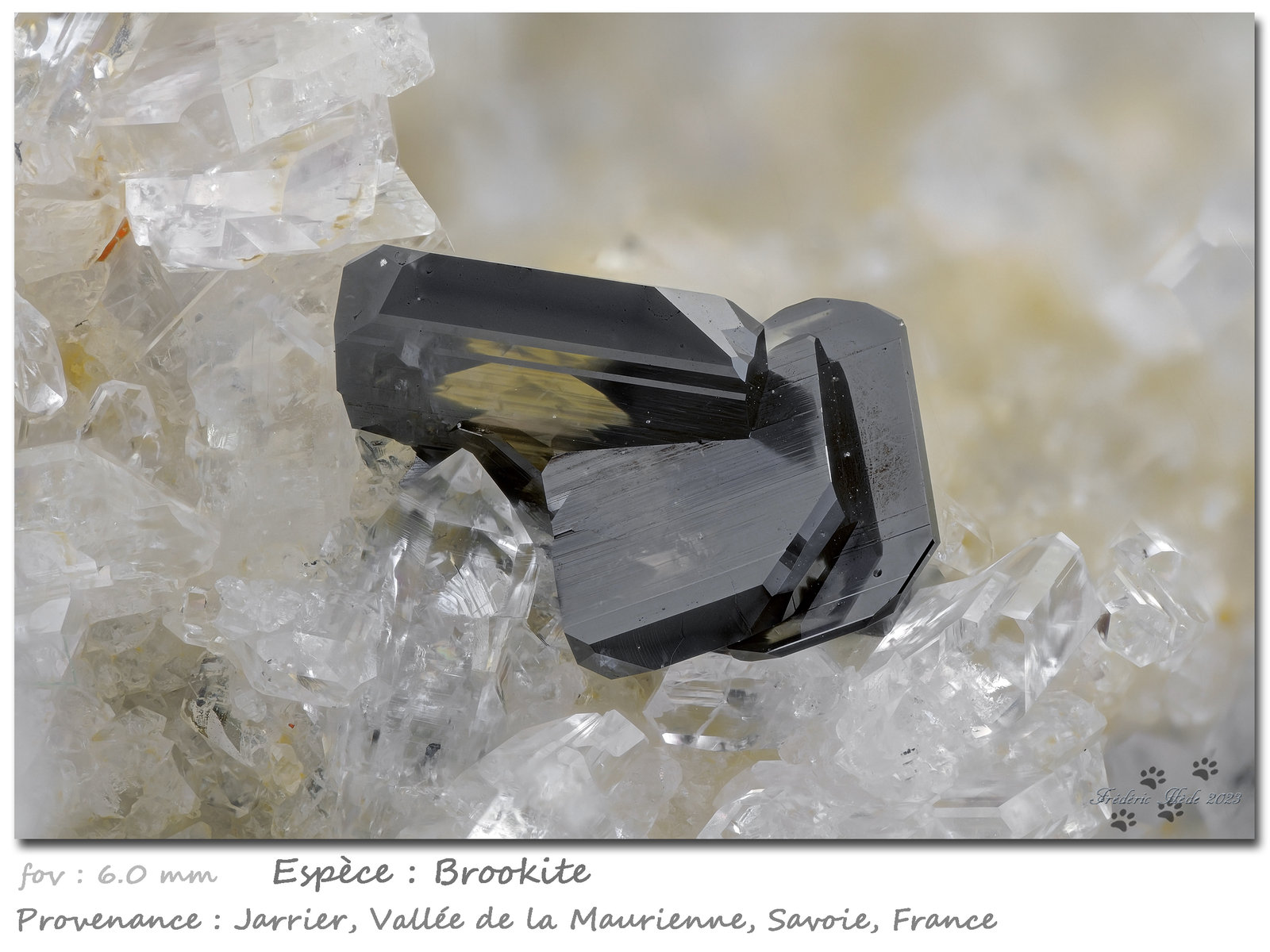 Brookite
fov 6.0 mm
(Autor: ploum)