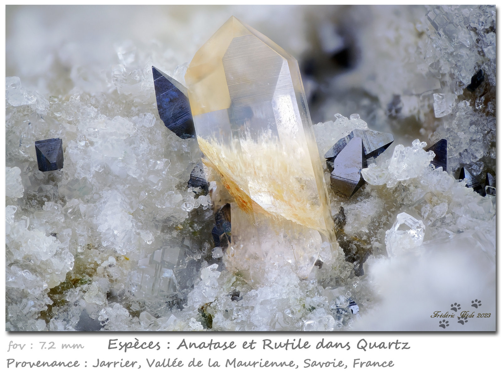 Quartz, Anatase and Rutile
fov 7.2 mm
(Autor: ploum)