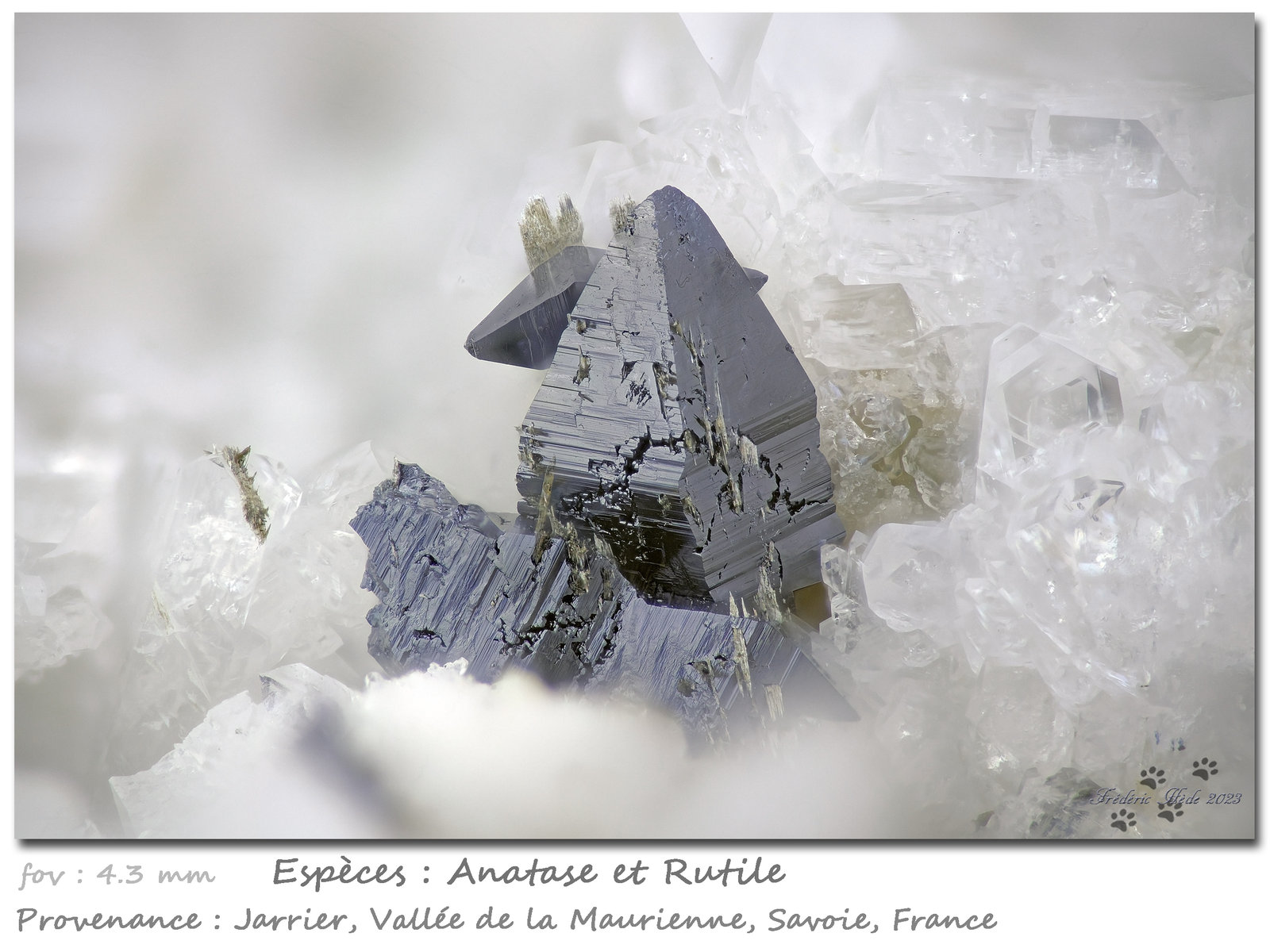 Anatase and Rutile
fov 4.3 mm
(Autor: ploum)