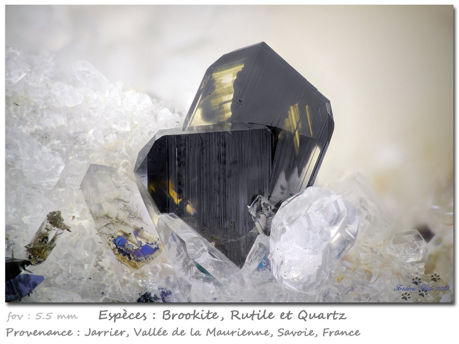 Brookite with Rutile and Quartz
fov 5.5 mm
(Autor: ploum)