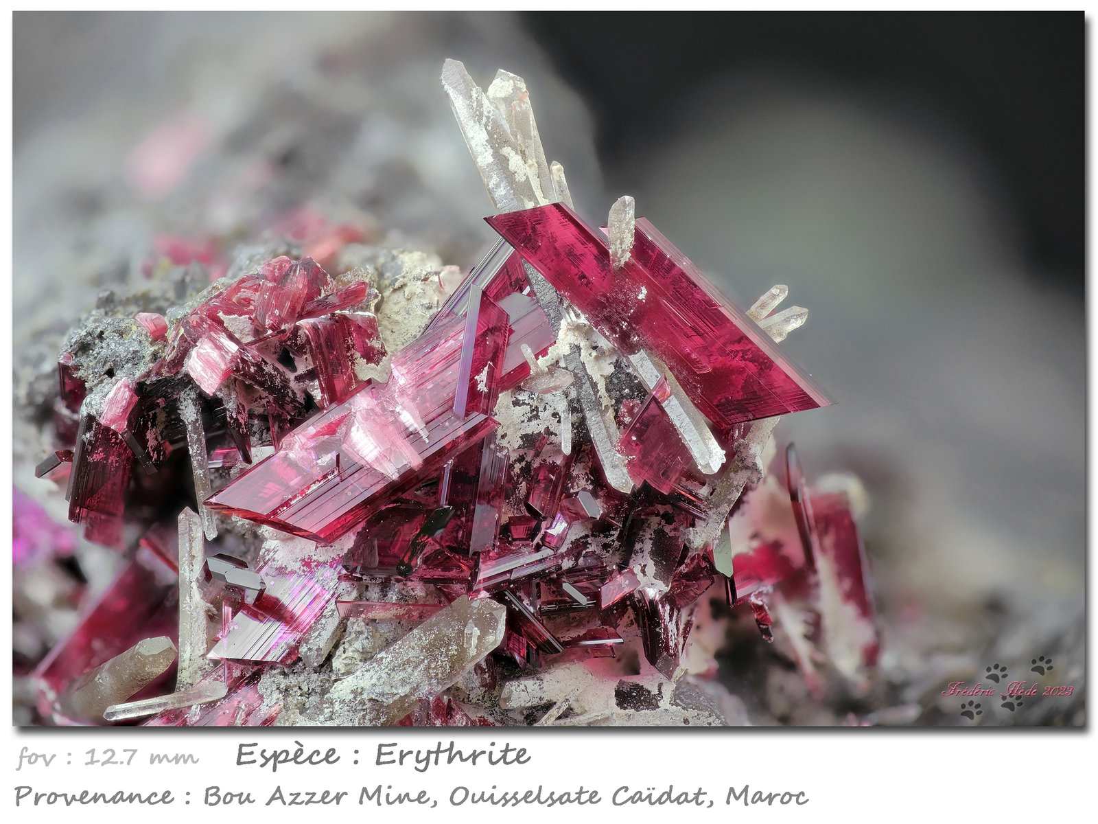 Erythrite with Quartz
fov 12.7 mm
(Autor: ploum)