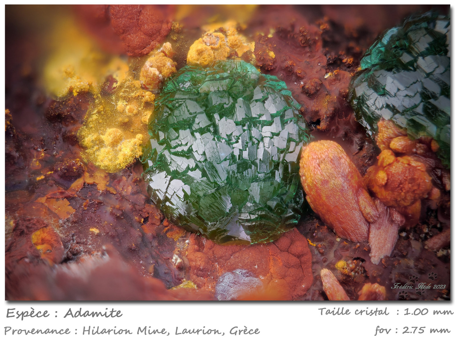 Adamite
fov 2.75 mm
(Autor: ploum)