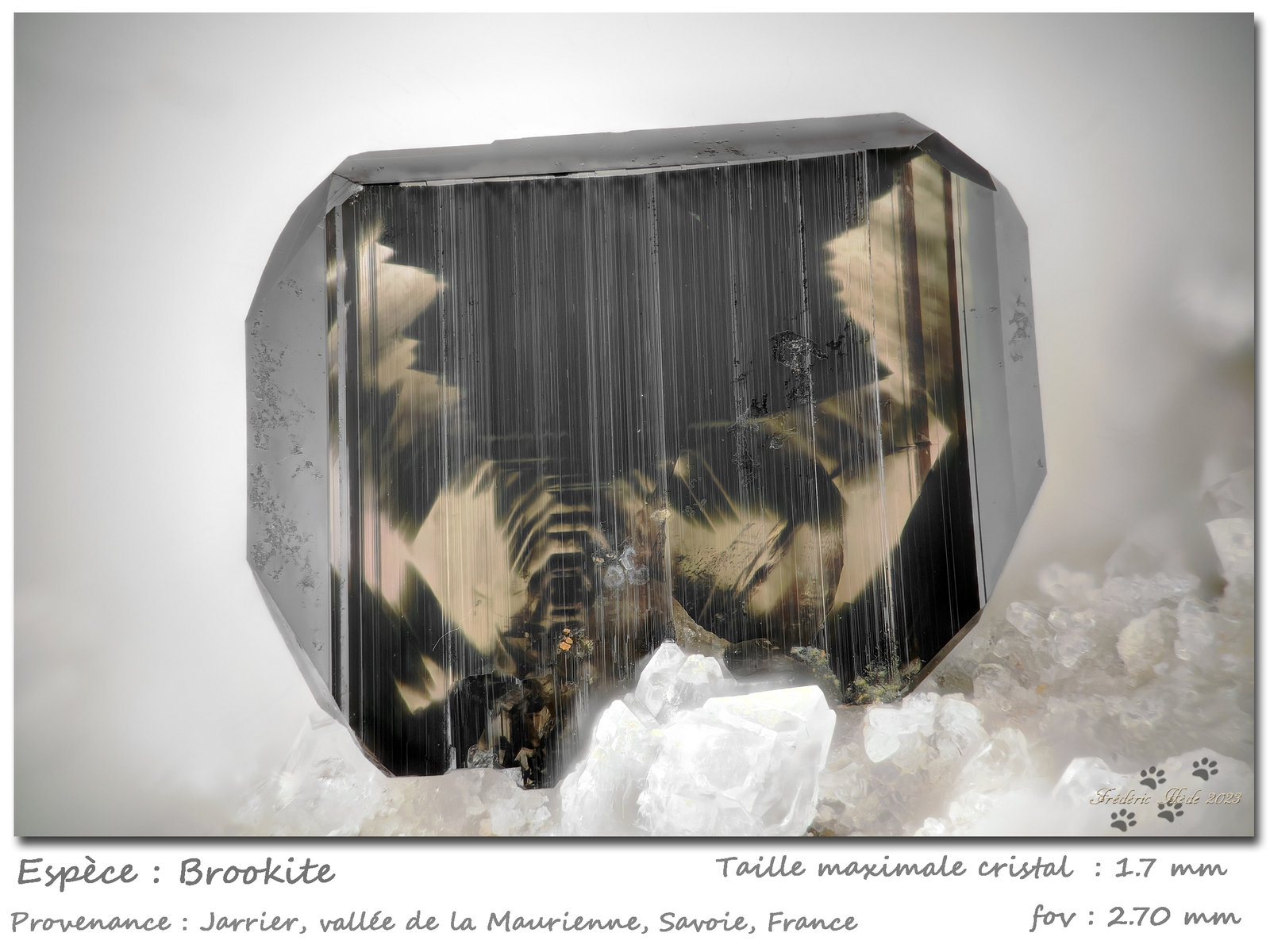 Brookite
fov 2.70 mm
(Autor: ploum)