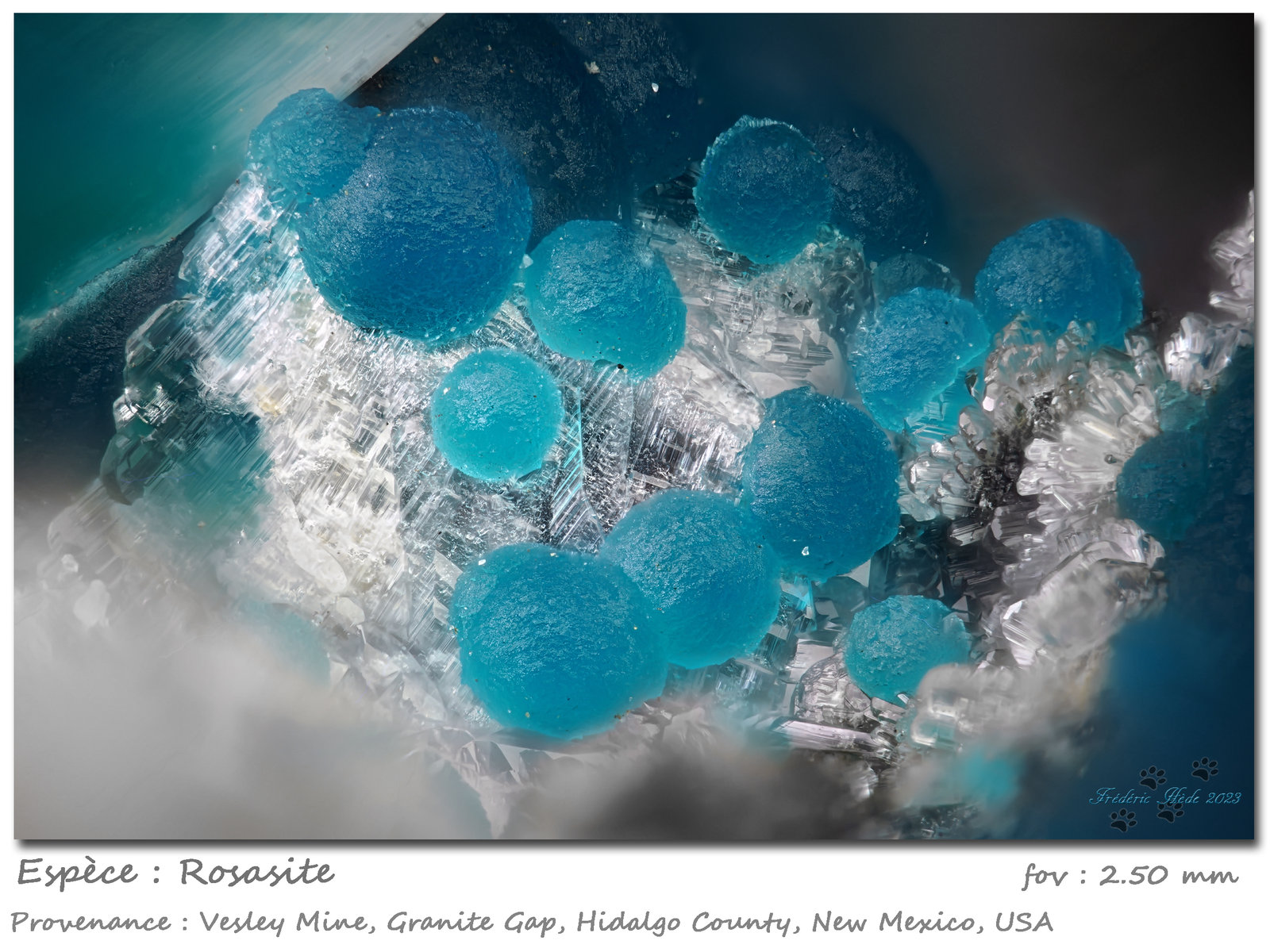 Rosasite
fov 2.50 mm
(Autor: ploum)