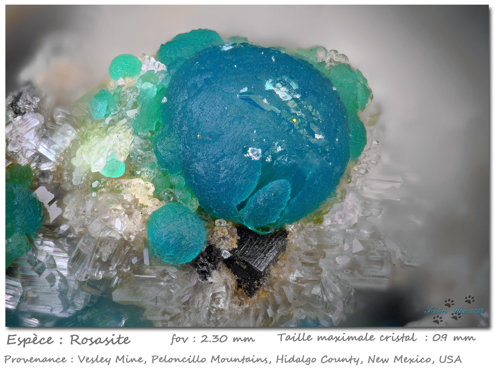 Rosasite
fov 2.3 mm
(Autor: ploum)