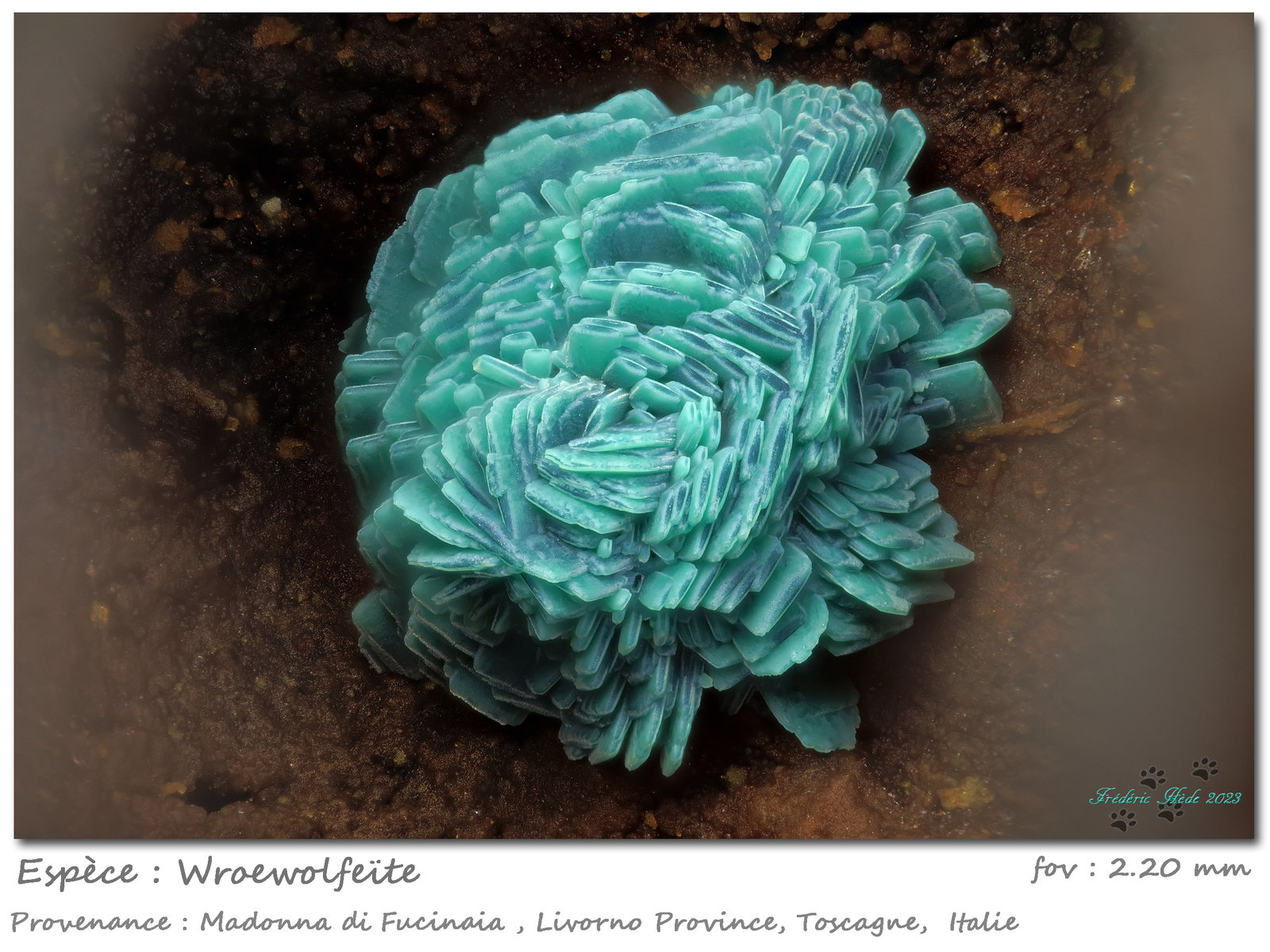 Wroewolfeite
fov 2.2 mm
(Autor: ploum)