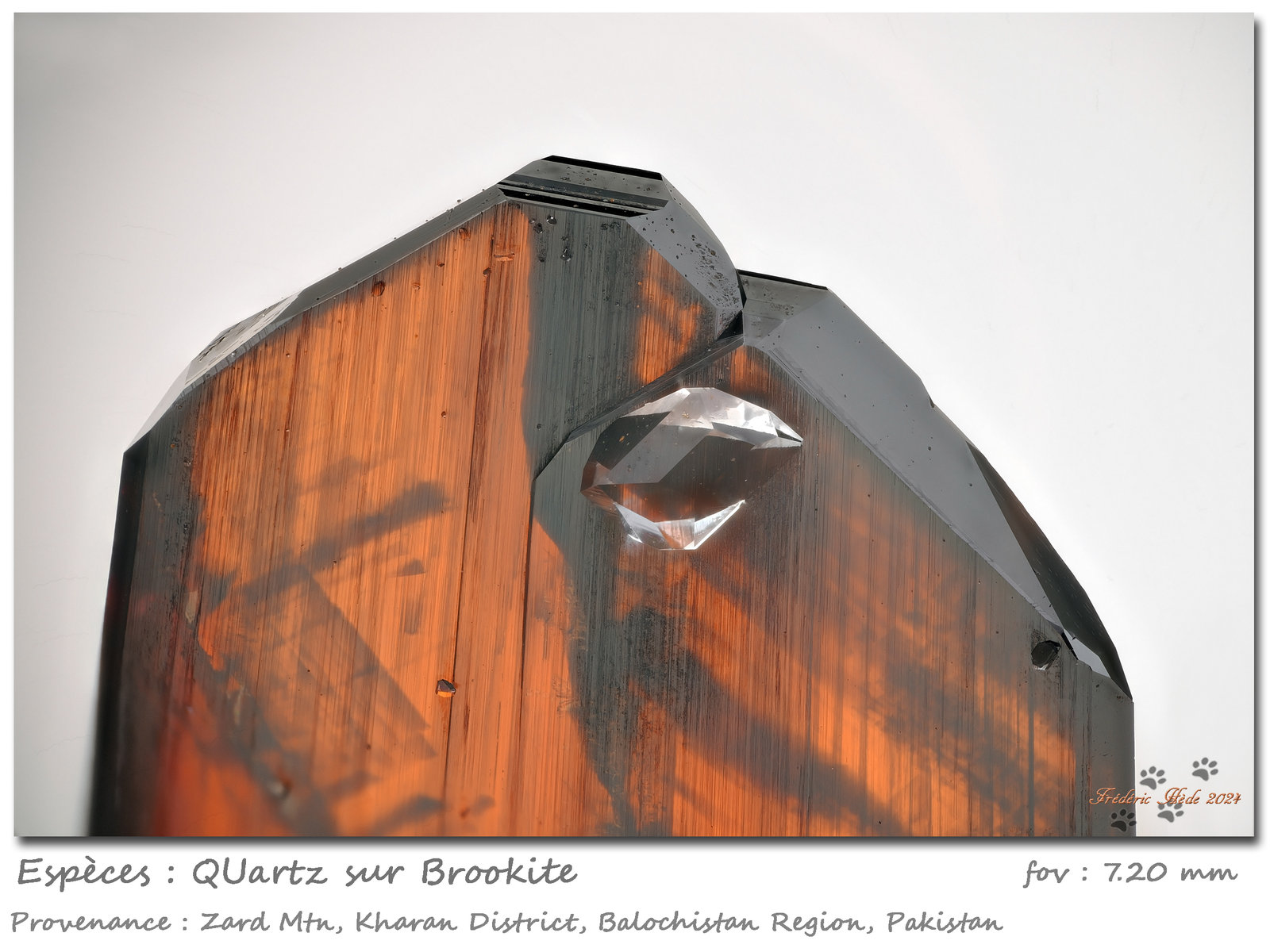 Quartz on Brookite
fov 7.2 mm
(Autor: ploum)