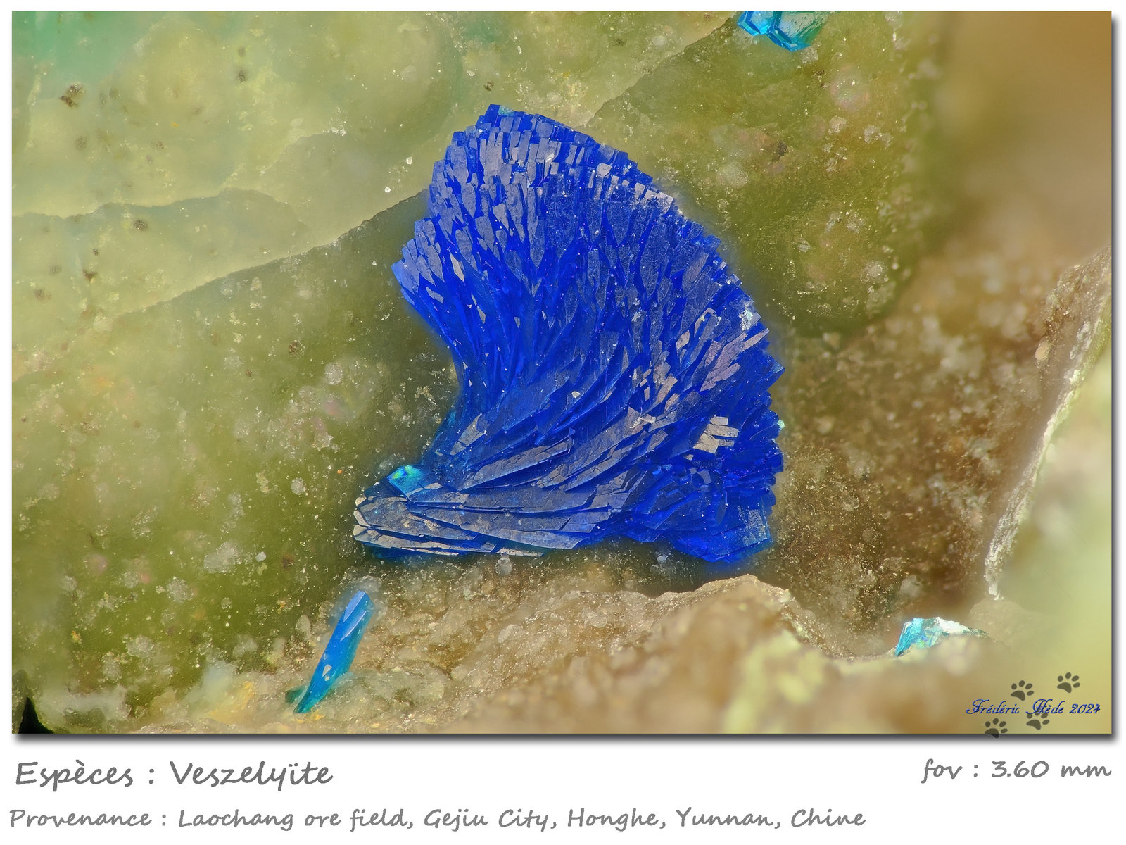 Veszelyite
fov 3.6 mm
(Autor: ploum)