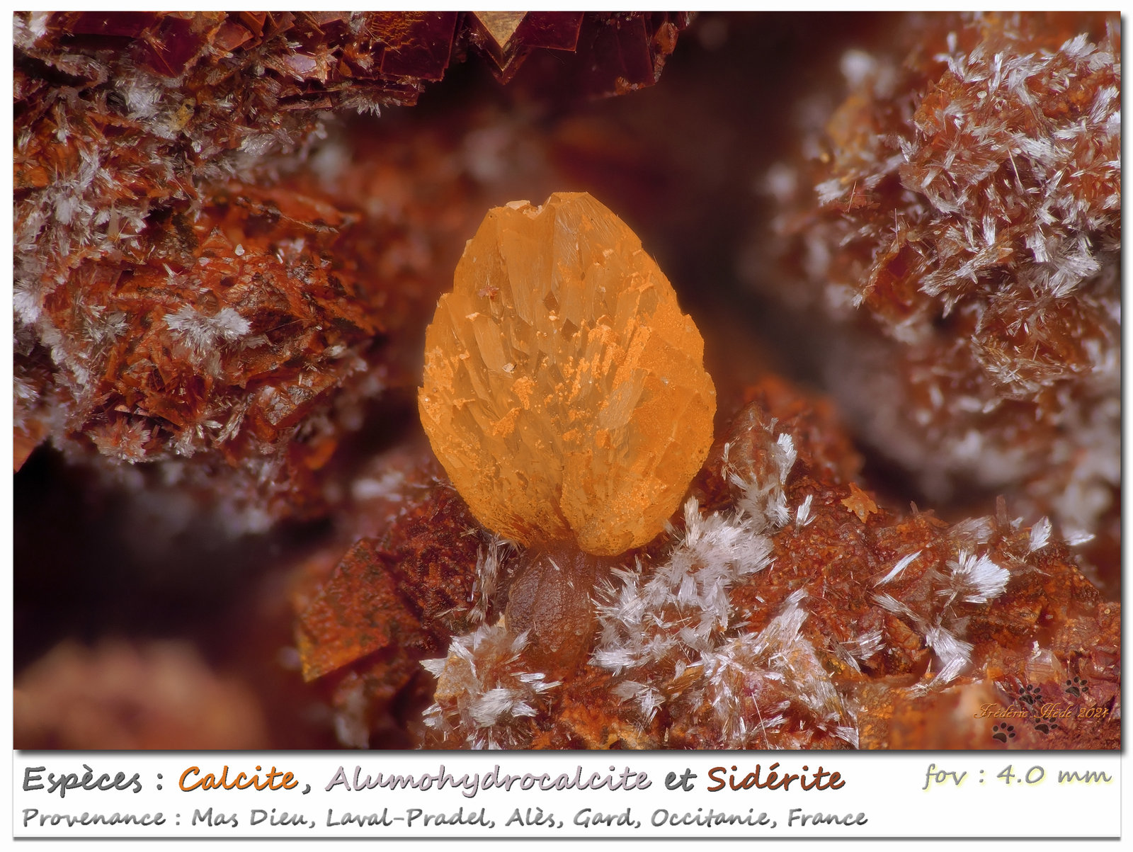 Calcite, Alumohydrocalcite, Siderite
fov 4.0 mm
(Autor: ploum)