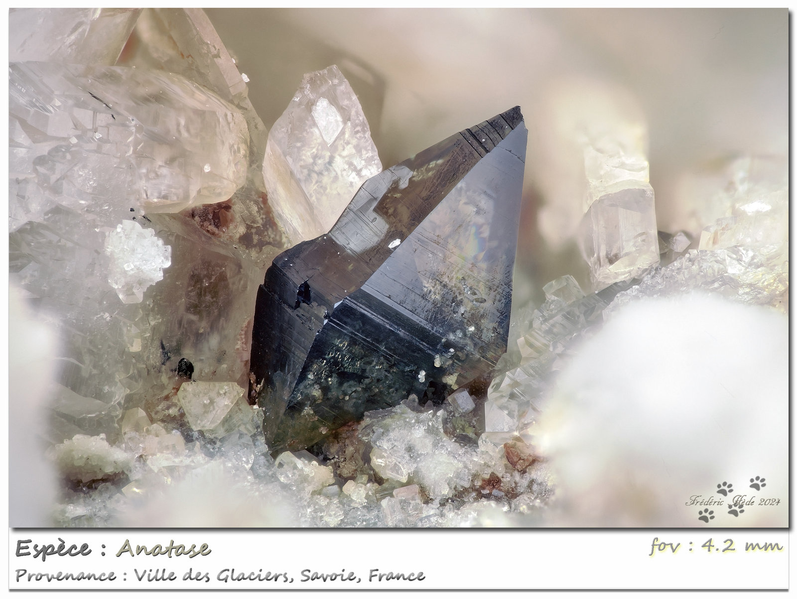Anatase
fov 4.2 mm
(Autor: ploum)