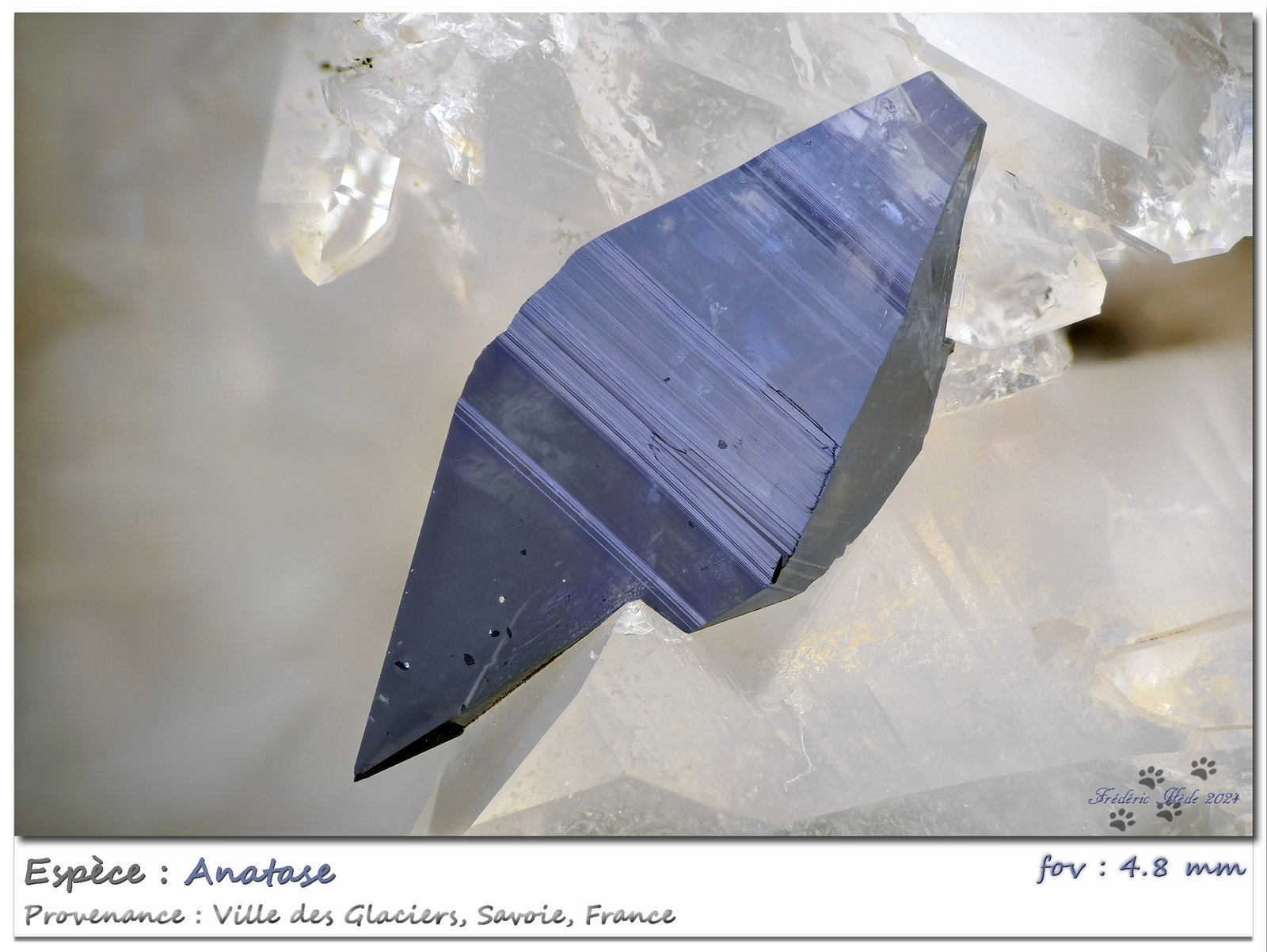 Anatase
fov 4.8 mm
(Autor: ploum)