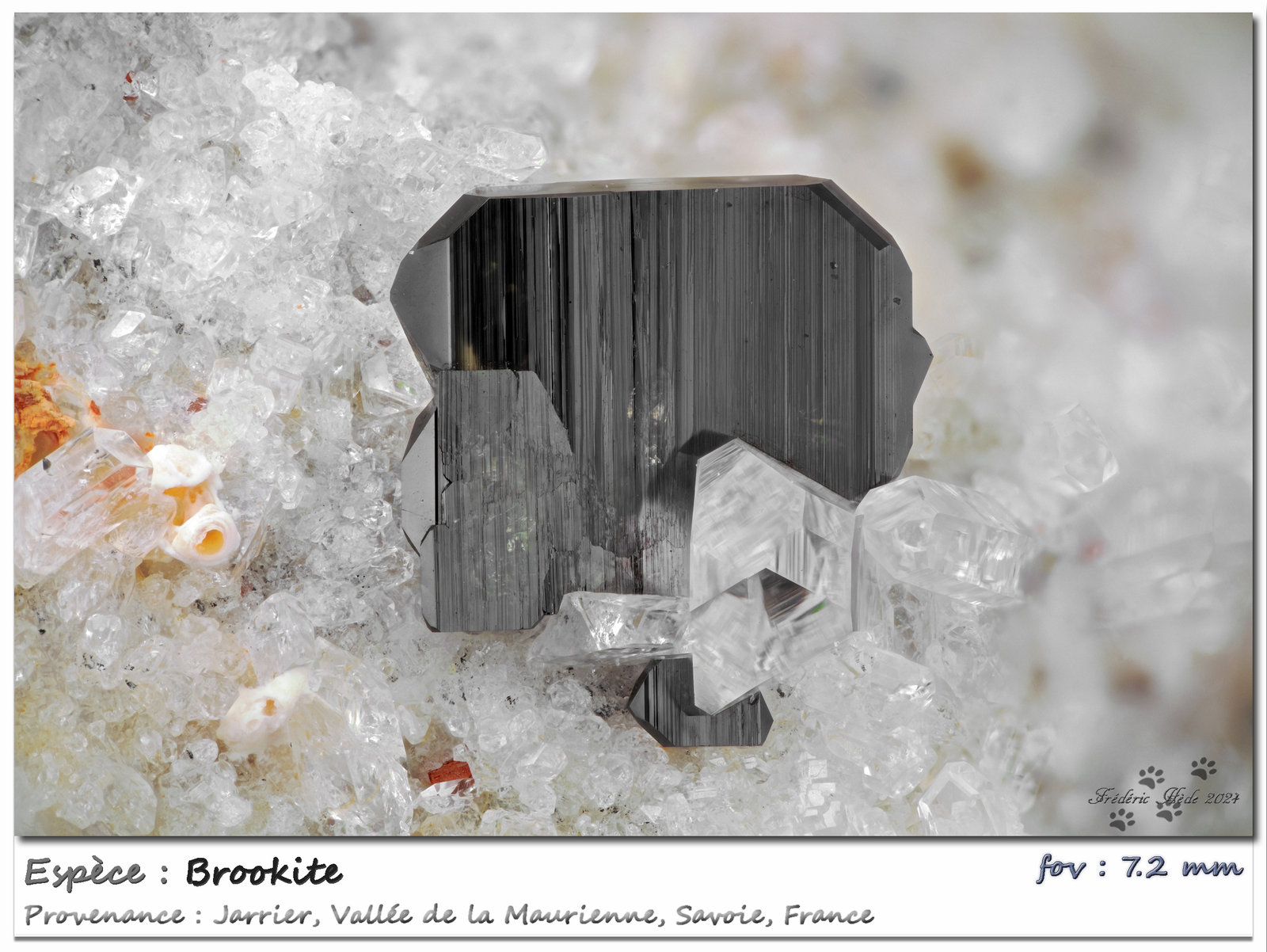 Brookite
fov 7.2 mm
(Autor: ploum)