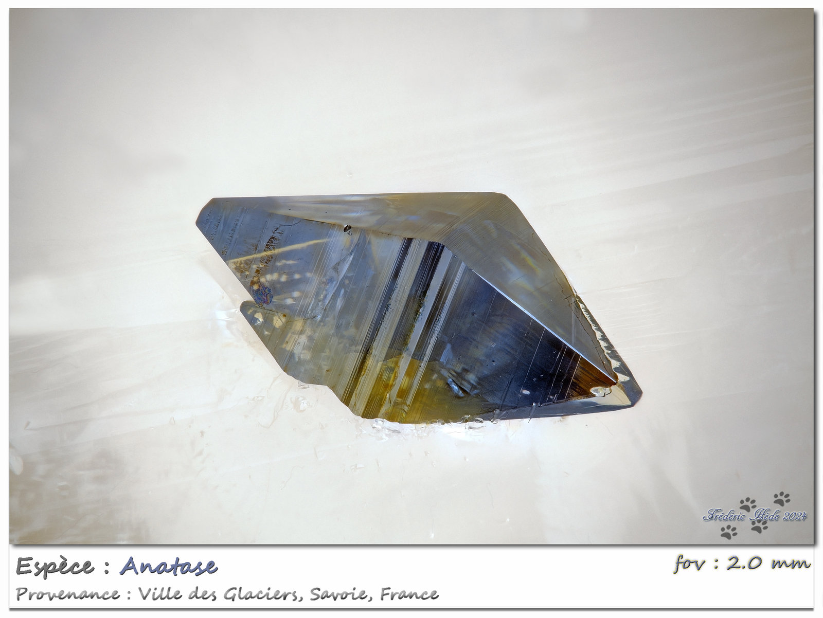 Anatase
fov 2.0 mm
(Autor: ploum)