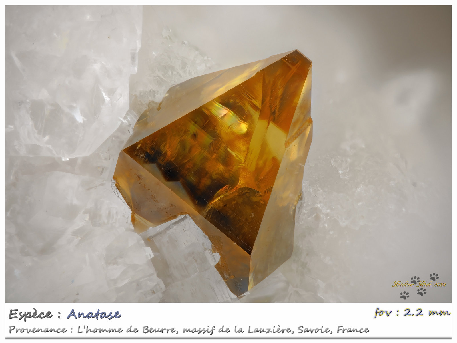 Anatase
fov 2.2 mm
(Autor: ploum)