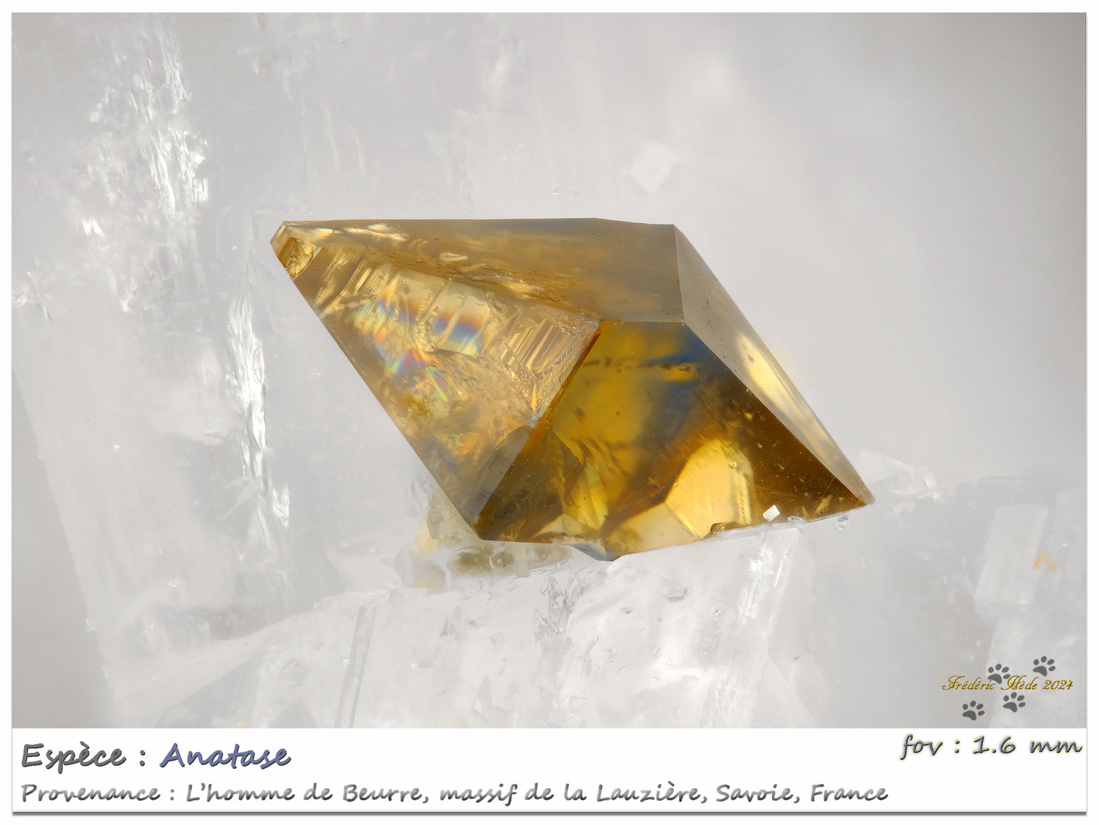 Anatase
fov 1.6 mm
(Autor: ploum)
