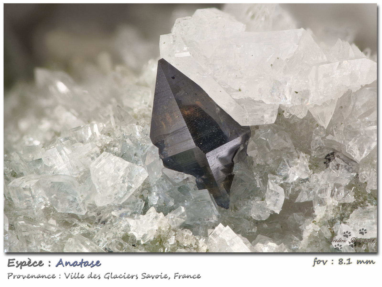 Anatase with Albite
fov 8.1 mm
(Autor: ploum)