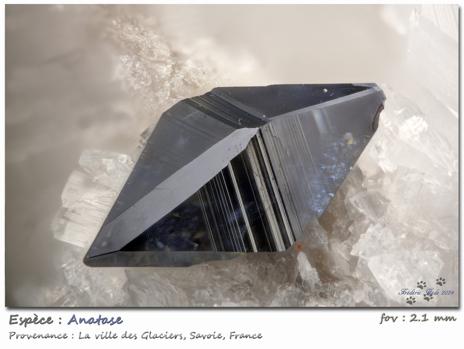 Anatase with Albite
fov 2.1 mm
(Autor: ploum)